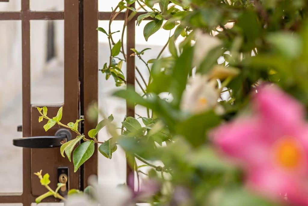 Cconforthotels Appartamento Domus Venezia Bari Buitenkant foto